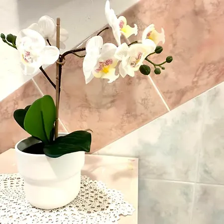 Apartment Amarin *